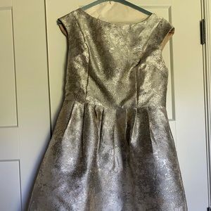 Anthropologie Silver & Gold Dress, size L
